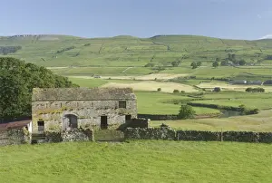 View of stone barn, drystone walls and pasture in valley bottom, River Ure, Burtersett, Wensleydale