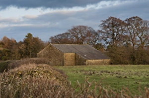 Farm Land Prints: View of stone barn and pasture in evening sunlight