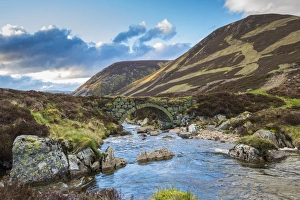 Moorland Prints: View of stone bridge over river in glen