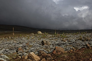 Plateaus Prints: View of stormclouds over afro-alpine habitat