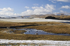 Becks Prints: View of stream and moorland habitat in snow, Malham Tarn, Malhamdale, Yorkshire Dales N. P