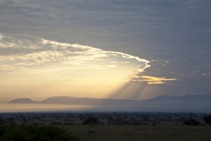 Sun Light Prints: View of sunbeams over savannah landscape at sunrise, Queen Elizabeth N. P. Uganda