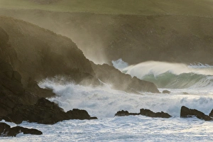 : View of swell waves breaking and crashing against cliff at dawn
