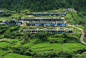 Slopes Prints: View of tea plantation workers housing on hillside, Munnar, Western Ghats, Kerala, India