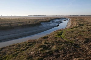 Tide Prints: View of tidal creek and saltmarsh habitat at low tide
