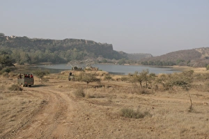 Safaris Prints: View of tourist vehicles at edge of lake habitat