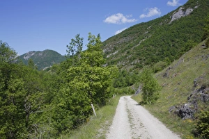 L Imestone Prints: View of track through limestone hills, near Cassou, Pyrenees, Ariege, France, may