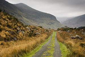 Landscape Prints: View of track and mountains, Cummeenduff Lake
