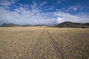 Steppes Prints: View of track over steppe habitat, Altai Mountains, Bayan-Ulgii, Western Mongolia, october