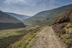 Moorland Prints: View of track through upland valley with river