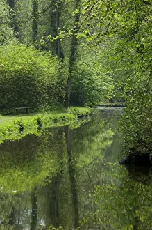 Broadland Prints: View of tree lined river habitat