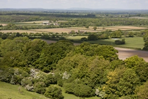 Slopes Prints: View of trees and farmland from chalk hill