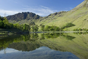 View of trees and fells reflected in lake, Buttermere, Lake District N. P. Cumbria, England, June