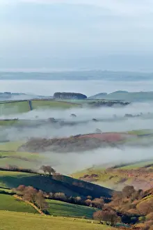 Mists Prints: View of trees, pasture and rolling hills with mist rising in early morning