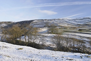 L Imestone Prints: View of trees in valley below limestone cliff in snow