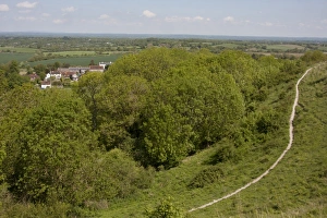 Slopes Prints: View over trees towards village and farmland from chalk escarpment