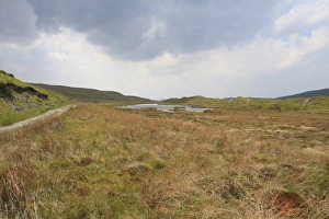 Peat Prints: View of upland peat bog habitat, Llyn Pen-cor-maen, Ceredigion, Wales, june