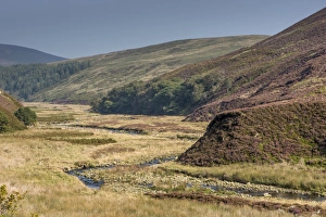 Moorland Prints: View of upland valley with river