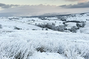 Landscape Prints: View of valley farmland covered in snow