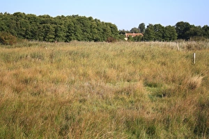 Market Weston Prints: View of valley fen reserve habitat