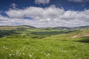 View across valley landscape, Hodder Valley, Forest of Bowland, Lancashire, England, June