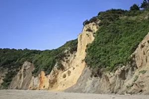 Erosion Prints: View of vegetation growing on eroded and slumped sand and clay sea cliffs