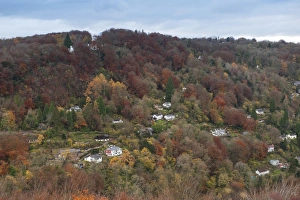 Autumnal Prints: View of village and autumn woodland