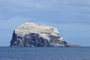 Gannet Prints: View of volcanic plug island and sea
