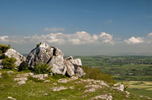 Limestone Prints: View towards Warton from top of limestone hill, Warton Crag, Lancashire, England, May