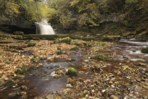 Wensleydale Prints: View of waterfall and autumn leaves