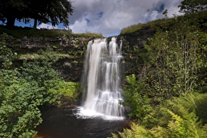 Fall Prints: View of waterfall, Hell Gill Force, River Eden, Mallerstang, Cumbria, England, August
