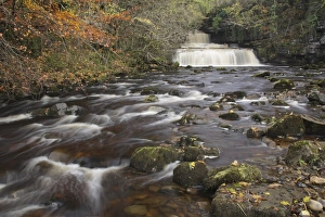 Wensleydale Prints: View of waterfall, limestone rocks and autumn leaves