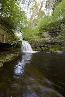 Wensleydale Prints: View of waterfall and river, Cauldron Falls