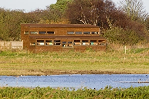 Hides Prints: View from West Hide across scrape towards North Hide