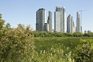 Environmental Prints: View of wetland habitat with city skyscraper in background