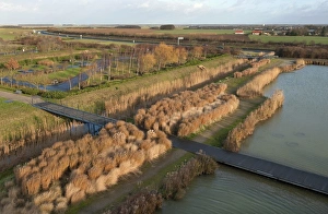 Conserves Prints: View of wetland habitat at edge of motorway