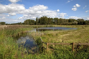 View of wetland habitat with open water and reedbed, Sculthorpe Moor Nature Reserve, Wensum Valley, Norfolk, England
