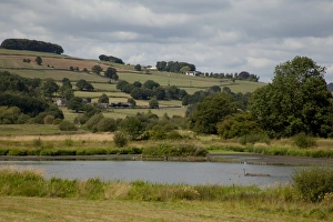 View of wetland habitat and pasture on hillside, Wyver Lane, Derbyshire Wildlife Trust Reserve, Derwent Valley
