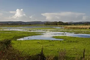 Flood Prints: View of wetland habitat, Pulborough Brooks RSPB Reserve, West Sussex, England, november