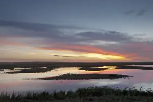 Elmley Prints: View of wetland habitat at sunrise