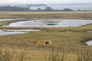 Natue Prints: View of wetland habitat with viewing screen and freshwater loch
