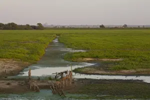 View over wetland nature reserve towards Ely Cathedral in distance, RSPB Ouse Washes, Cambridgeshire, England