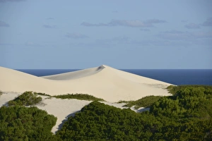 Sand Prints: View of white sand dunes and coastal fynbos habitat