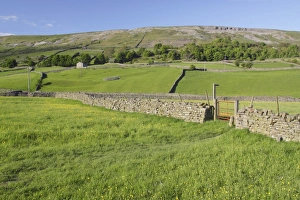Gates Prints: View of wildflower meadows, gate