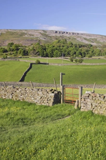 View of wildflower meadows, gate, footpath sign, drystone wall and hillside, Reeth, Swaledale, Yorkshire Dales N. P