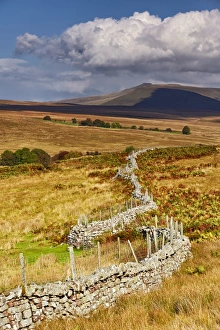Moorland Prints: View of wire topped drystone wall in upland habitat