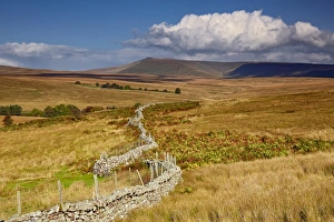 View of wire topped drystone wall in upland habitat, Penyfan in distance, Brecon Beacons N. P. Powys, Wales, October