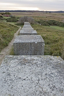 Defence Prints: View of World War Two concrete tank traps on coastal dunes