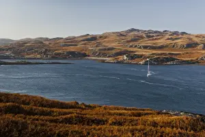 Estates Prints: View of yacht on sea loch, view across to Ruantallan from Tarbert Estate