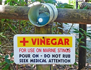 Signs Prints: Vinegar for use on marine stings sign and first aid kit, Cape Tribulation, Daintree N. P